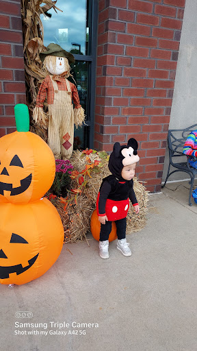 Motorcycle Dealer «Steel City Harley-Davidson», reviews and photos