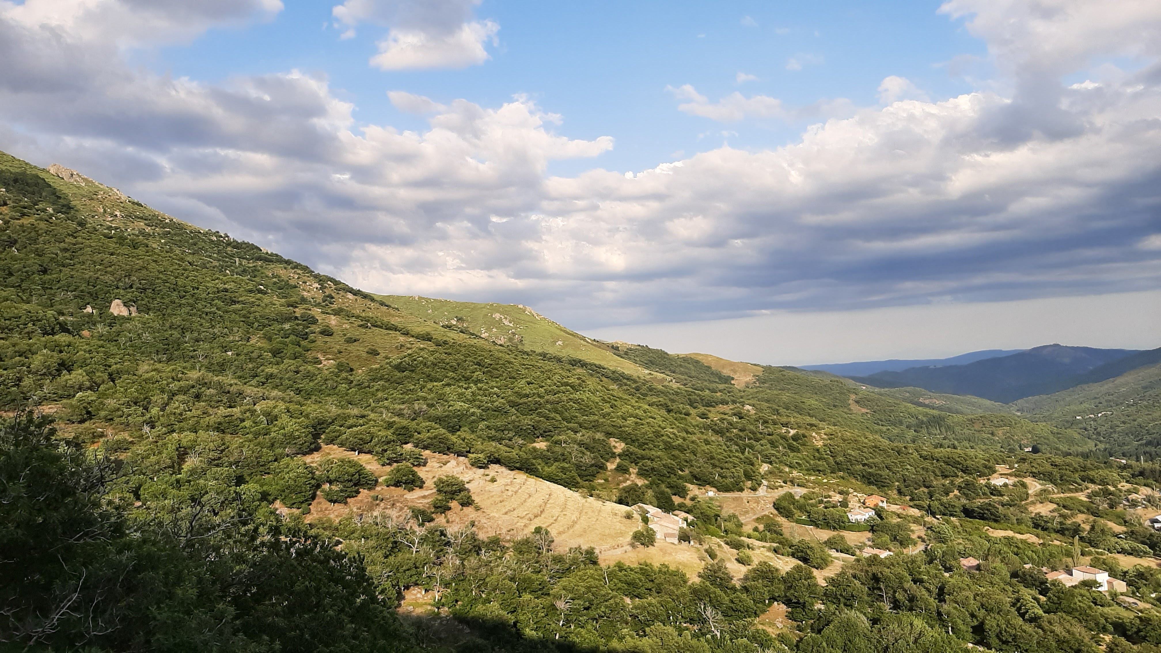 Photo n° 2 de l'avis de Sonia.e fait le 30/07/2019 à 19:49