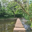 Humford Woods Stepping Stones