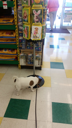 Pet Supply Store «Pet Supplies Plus», reviews and photos, 305 Sidney Baker St S #400, Kerrville, TX 78028, USA