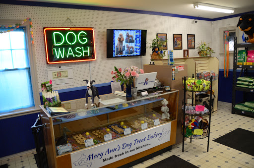 Pet Groomer «Blue Ribbon Dog Grooming LLC Anderson», reviews and photos, 5038 S Scatterfield Rd, Anderson, IN 46013, USA