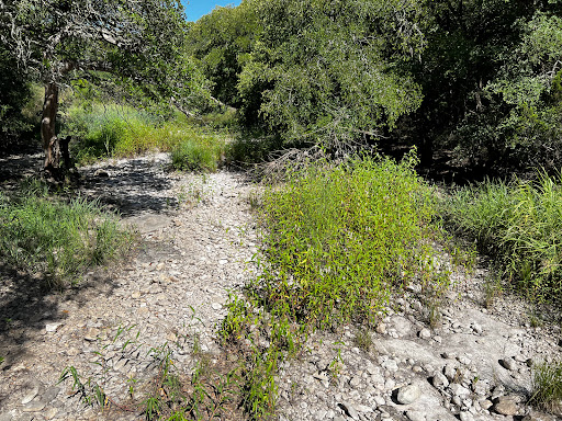 Park «Culebra Creek Park», reviews and photos, 10919 Westwood Loop, San Antonio, TX 78254, USA