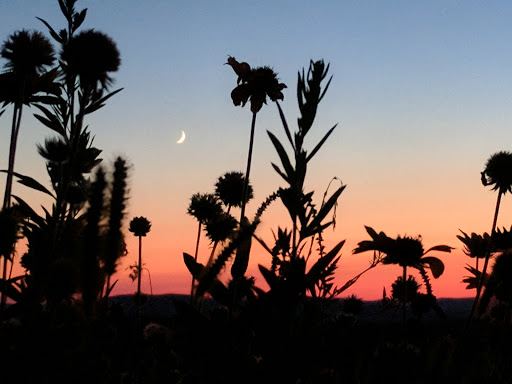 Winery «Gouveia Vineyards», reviews and photos, 1339 Whirlwind Hill Rd, Wallingford, CT 06492, USA