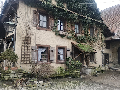 Pferdepraxis Kerstin Wichelhaus unter Eppingen, 