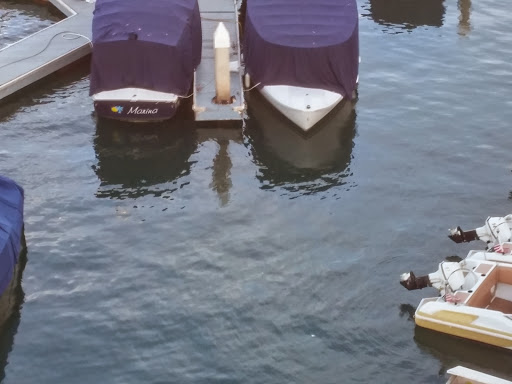 Amusement Park «Balboa Fun Zone», reviews and photos, 600 E Bay Ave, Newport Beach, CA 92661, USA