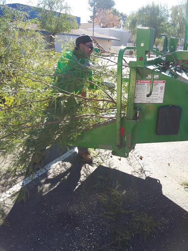 Sporting Goods Store «Big 5 Sporting Goods», reviews and photos, 921 E Southern Ave, Tempe, AZ 85282, USA