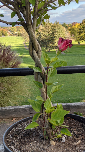 Golf Course «Goodwin Park Golf Course», reviews and photos, 1130 Maple Ave, Hartford, CT 06114, USA