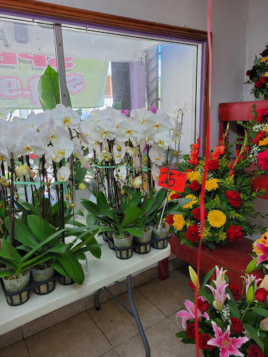 Florist «Avalon Flowers», reviews and photos, 1257 N Avalon Blvd, Wilmington, CA 90744, USA