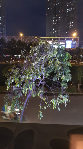 Top 20 pizza Quận 2 Hồ Chí Minh 2022