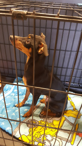 Pet Supply Store «PetSmart», reviews and photos, 5722 Fairmont Pkwy, Pasadena, TX 77505, USA