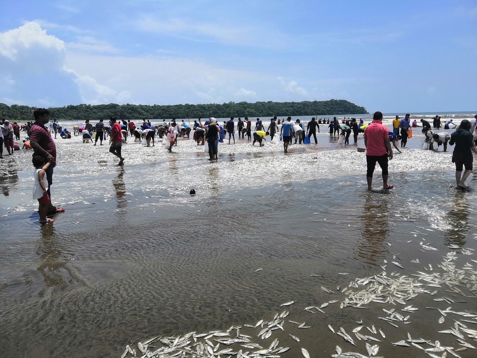 Photo of Caranzalem Beach and the settlement