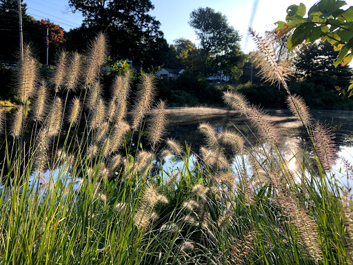 Park «Cass Park», reviews and photos, Cass Avenue, Woonsocket, RI 02895, USA