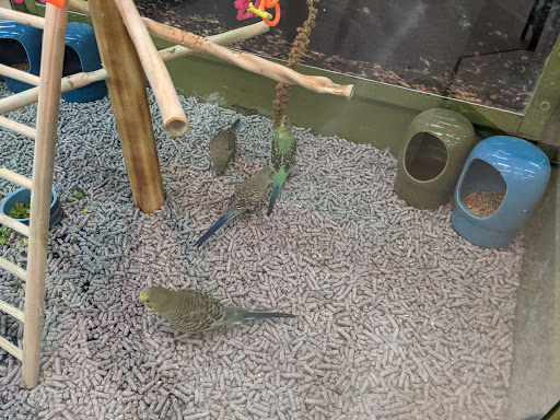 Pet Supply Store «Petco Animal Supplies», reviews and photos, 244 Pioneer Trail, Chaska, MN 55318, USA