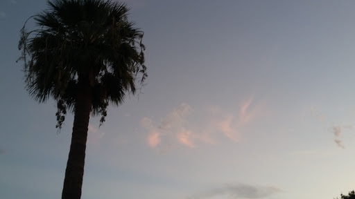 Auto Parts Store «Pep Boys Auto Parts & Service», reviews and photos, 2524 N Scottsdale Rd, Scottsdale, AZ 85257, USA