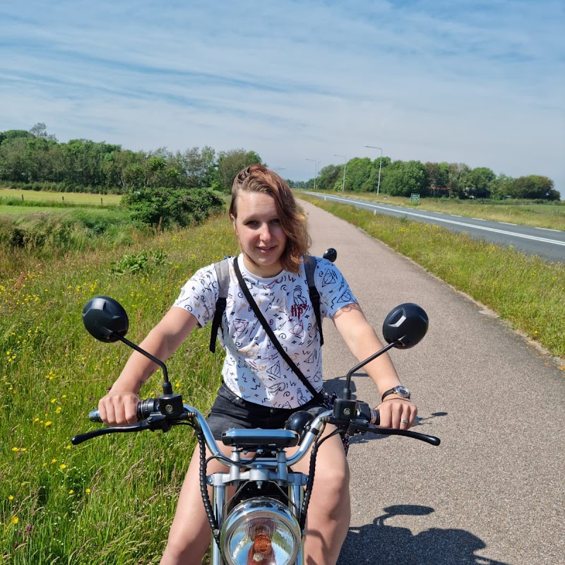 Dagje Texel - Hét Evenementenbureau op Texel - uitjes en activiteiten