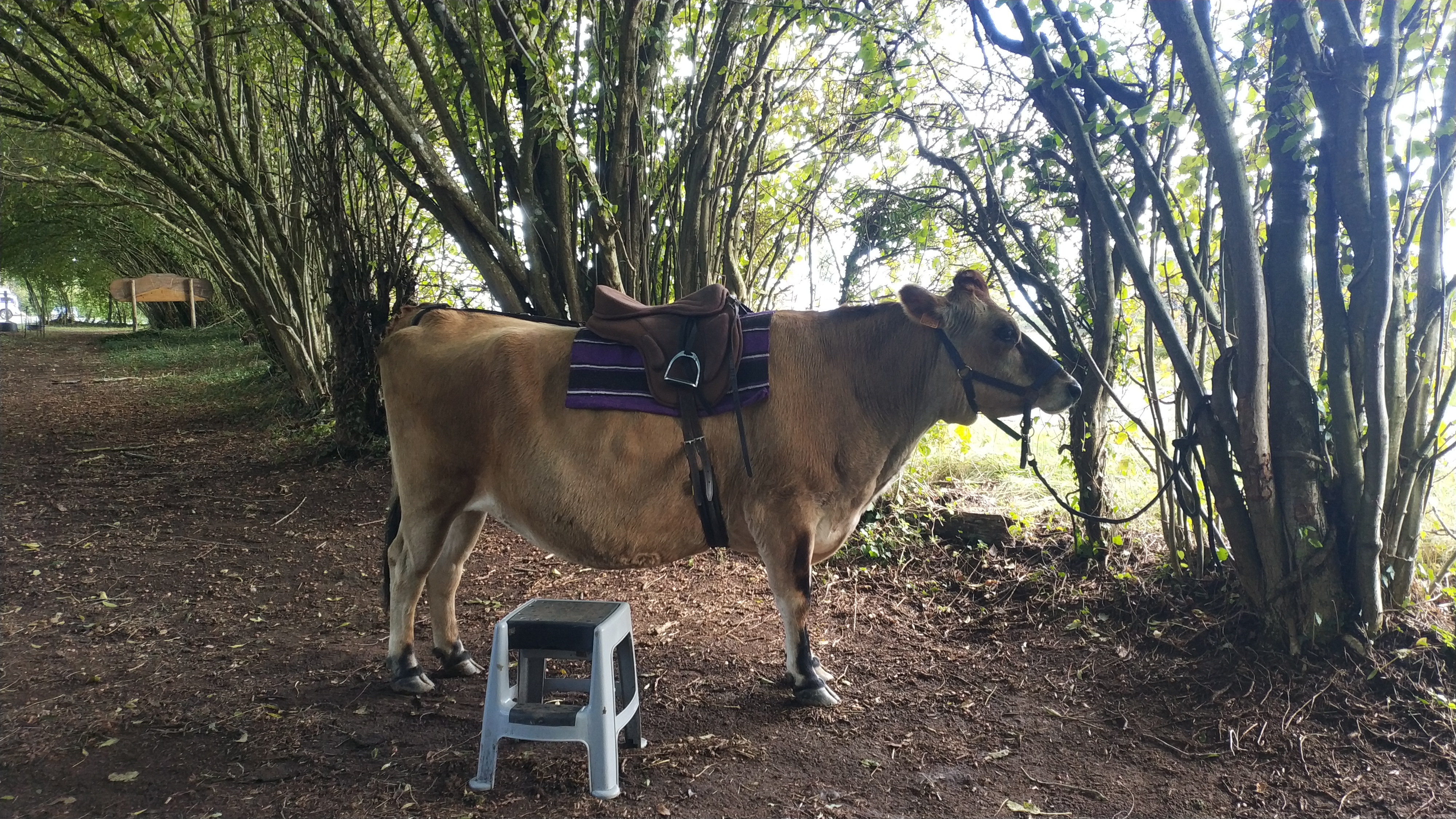Photo n° 1 de l'avis de Fanny.a fait le 27/10/2023 à 20:21