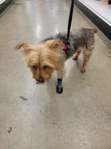 Pet Supply Store «Centinela Feed & Pet Supplies», reviews and photos, 4700 Pacific Coast Hwy, Long Beach, CA 90804, USA