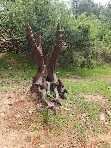 מרכז המבקרים עמק הצבאים - אחר
