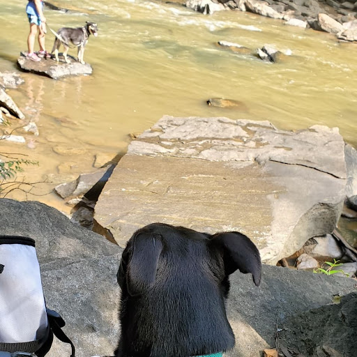 Tourist Attraction «Vickery Creek Falls Roswell Mill», reviews and photos, 95 Mill St, Roswell, GA 30075, USA