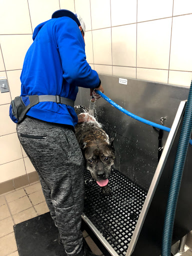 Pet Supply Store «Pet Supplies Plus», reviews and photos, 135-25 79th St, Howard Beach, NY 11414, USA