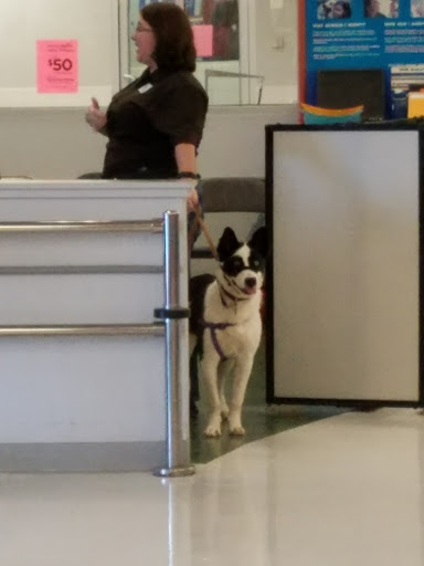 Pet Supply Store «Petco Animal Supplies», reviews and photos, 3371 US-1 #100A, Lawrenceville, NJ 08648, USA