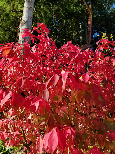 State Park «Dash Point State Park», reviews and photos, 5700 SW Dash Point Rd, Federal Way, WA 98023, USA
