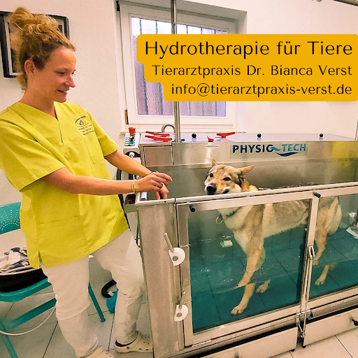 Tierarztpraxis Verst - Dr. Bianca Verst praktische Tierärztin & Augenspezialistin für Tiere unter Kleinostheim, 