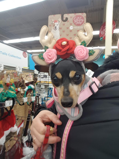 Pet Supply Store «Petco Animal Supplies», reviews and photos, 2807 Wilma Rudolph Blvd, Clarksville, TN 37040, USA