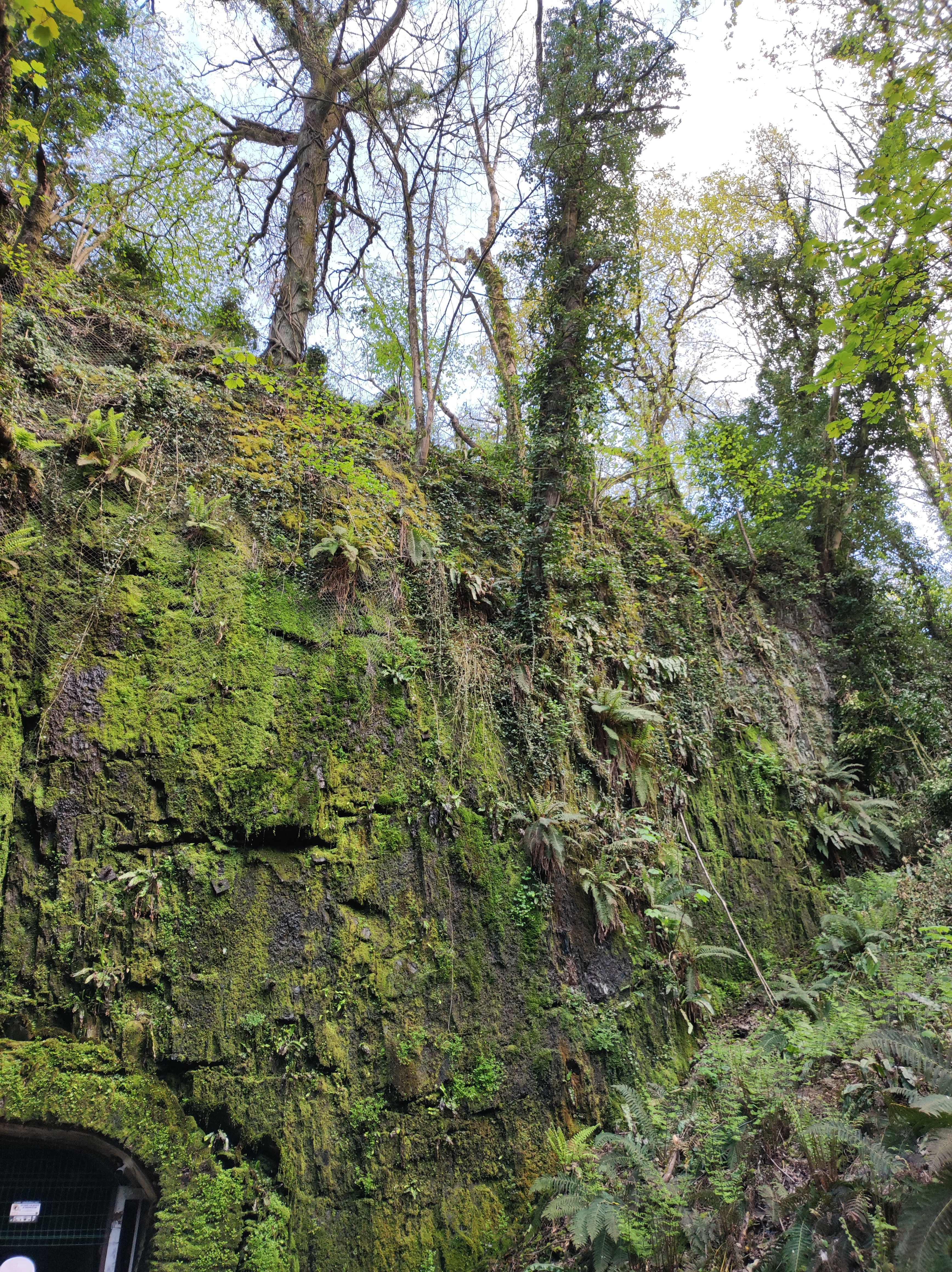 Photo n° 5 de l'avis de David.o fait le 19/04/2022 à 18:07