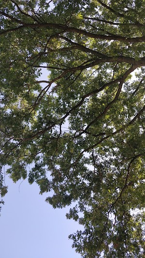 Main Quad - photo 17