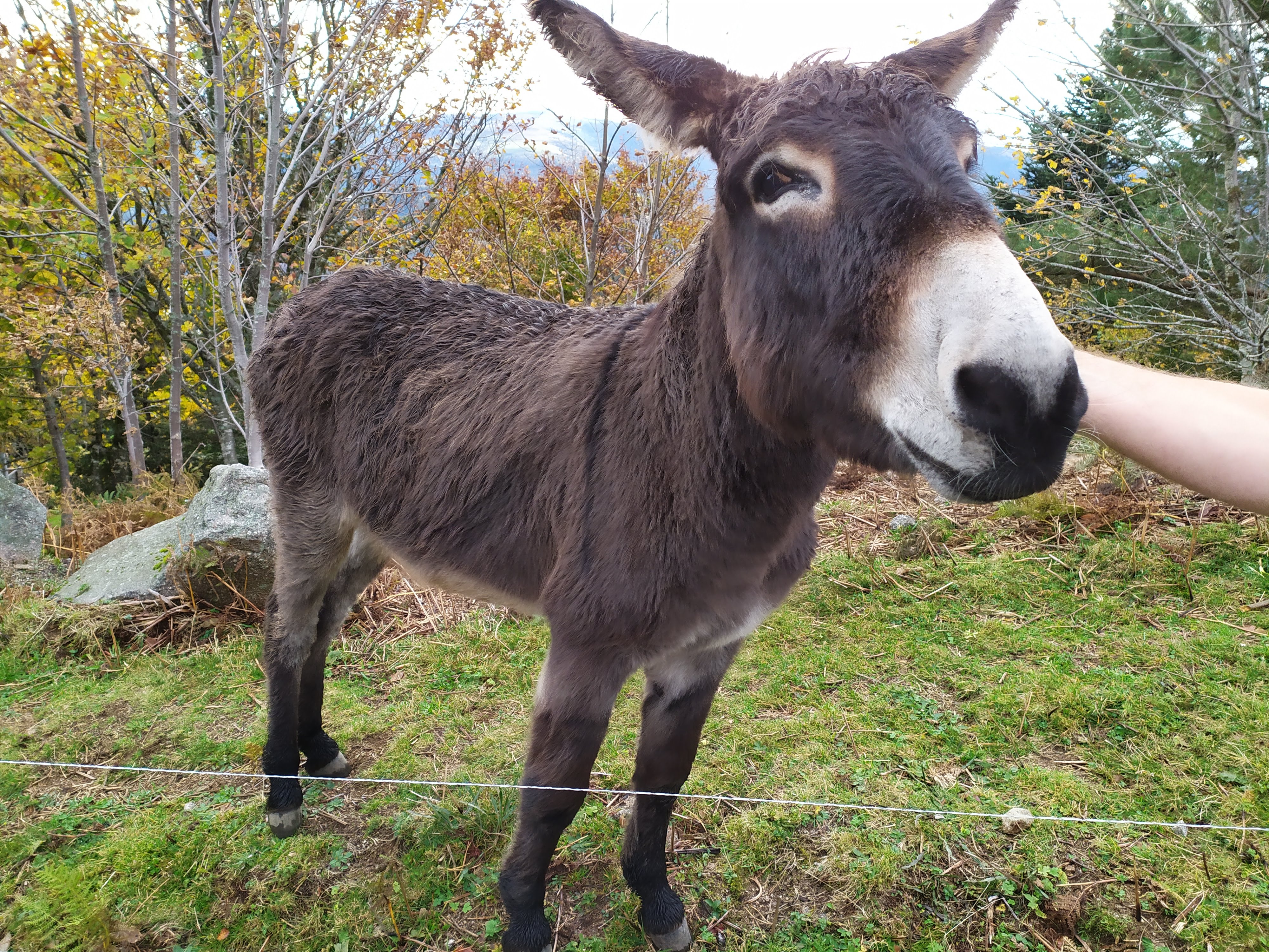 Photo n° 2 de l'avis de Eric.o fait le 03/11/2019 à 17:33