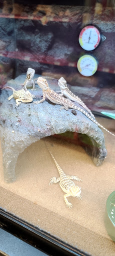 Pet Supply Store «Petco Animal Supplies», reviews and photos, 5565 S Virginia St, Reno, NV 89502, USA