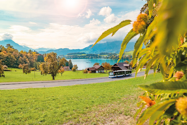 Verkehrsbetriebe Luzern AG