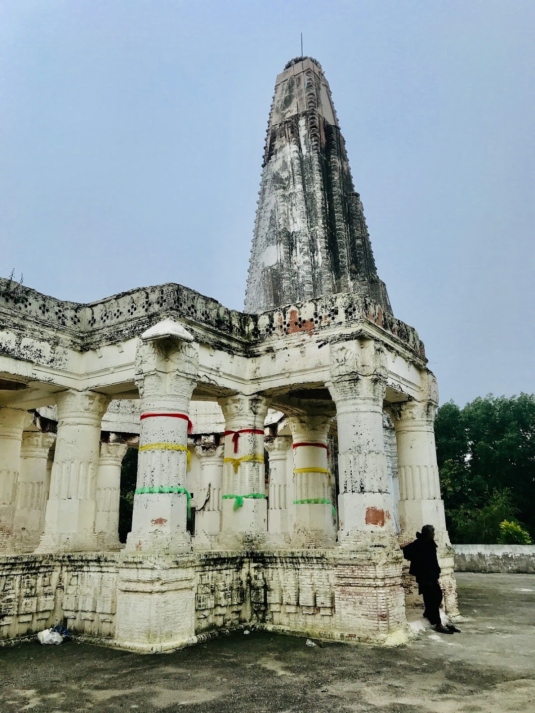 Shawala Teja Singh Temple