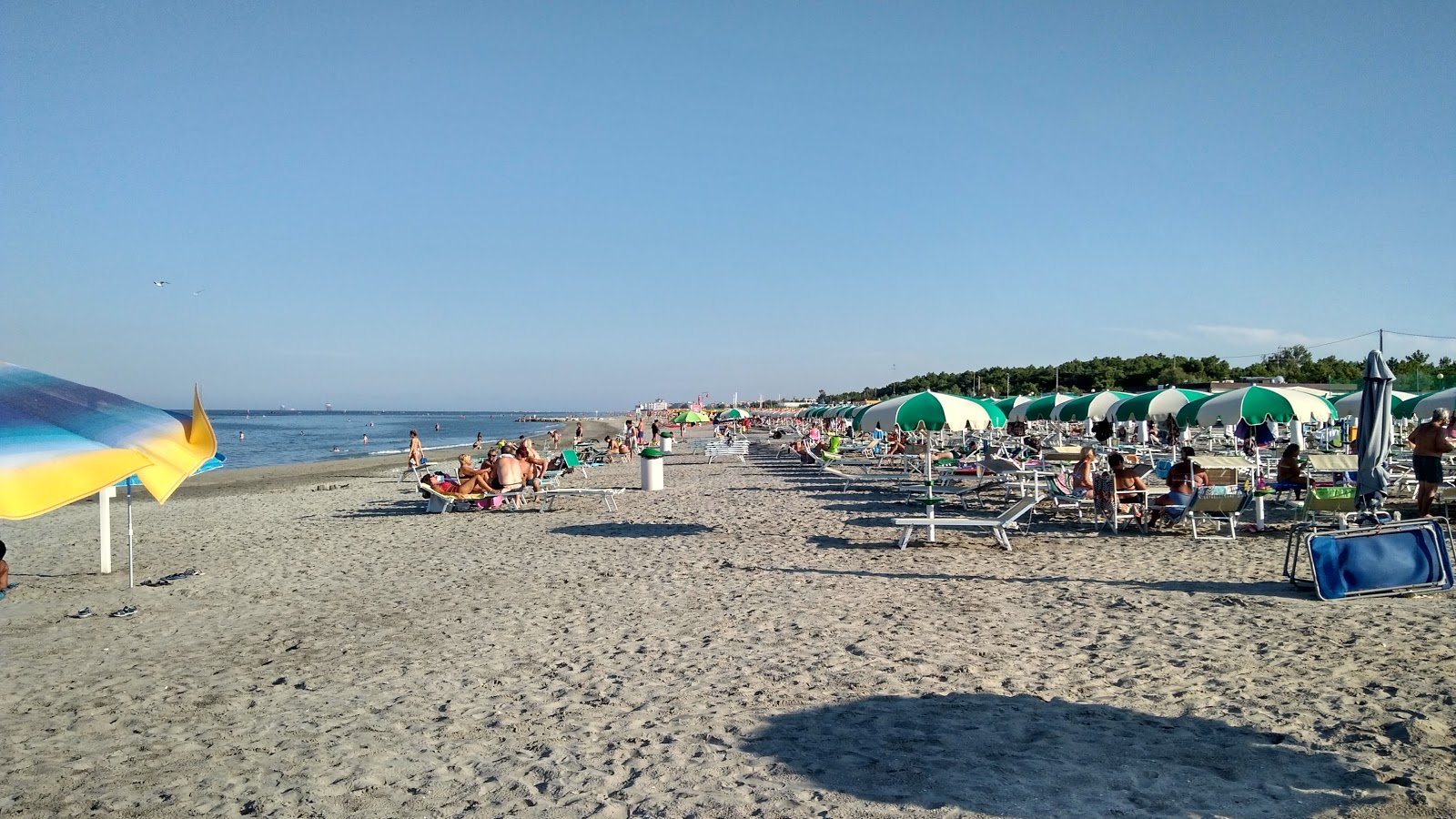 Foto van Strand van Marina di Ravenna met recht en lang