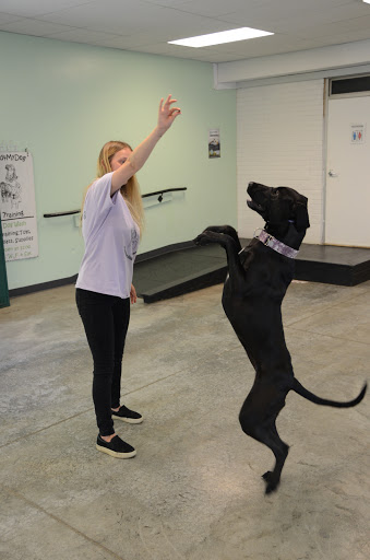 Dog Trainer «Mad 4 My Dog», reviews and photos, 702 E Temperance St, Ellettsville, IN 47429, USA