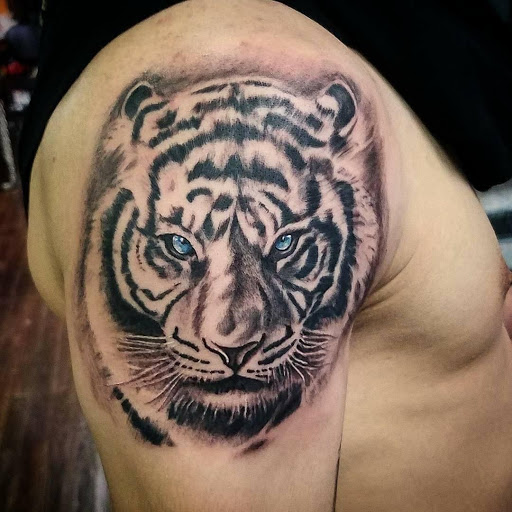 Explore black bear tattoo ideas, creative tattoo ideas in Roanoke, available at Saint Cecilias Art Studio