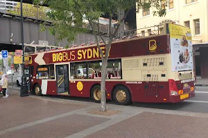 Big Bus Tours Sydney image
