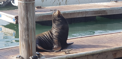 Shopping Mall «Union Square, San Francisco», reviews and photos, 333 Post St, San Francisco, CA 94108, USA