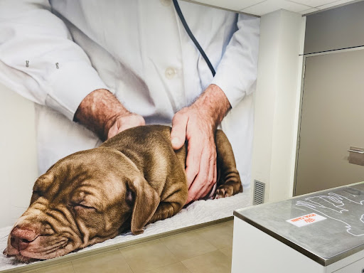 Mivet Hospital Veterinario Manresa en Manresa