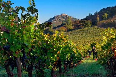 Domaine Matha à Clairvaux-d'Aveyron