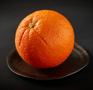 Coffee Shop «Starbucks», reviews and photos, 250 Crockett Blvd, Merritt Island, FL 32953, USA