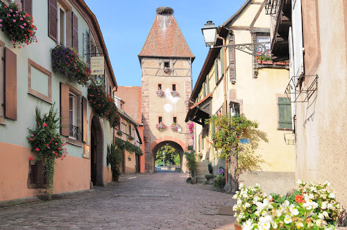 Lodge Gite Alsace - Maison Thomas Ammerschwihr