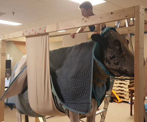 Moving Company «Little Guys Movers Lexington», reviews and photos, 1591 Winchester Rd #109, Lexington, KY 40505, USA