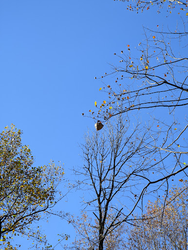 History Museum «Benjamin Banneker Historical», reviews and photos, 300 Oella Ave, Catonsville, MD 21228, USA