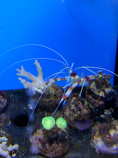 Pet Supply Store «Petco Animal Supplies», reviews and photos, 18200 NW Evergreen Pkwy, Beaverton, OR 97006, USA