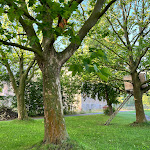 Photo n°7 de l'avis de Markus.o fait le 03/09/2023 à 08:28 sur le  El Retiro - Pension am Geiseltalsee à Braunsbedra