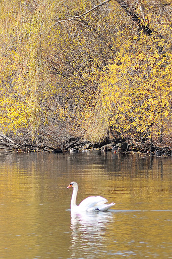 Park «Kissena Park», reviews and photos, 164-15 Booth Memorial Ave, Fresh Meadows, NY 11365, USA