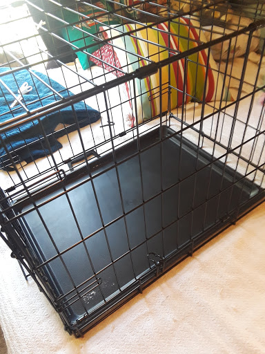 Discount Store «Dollar General», reviews and photos, 5321 GA-20, Covington, GA 30016, USA