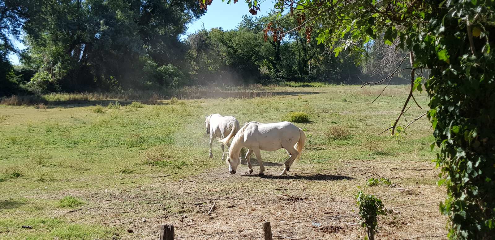 Photo n° 1 de l'avis de Jean-luc.i fait le 29/08/2020 à 09:16